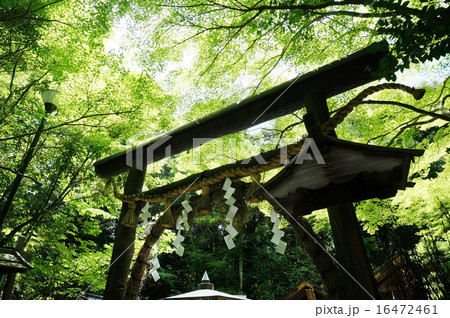 野宮神社 16472461
