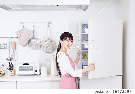 主婦（冷蔵庫）　 16472597