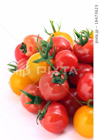トマト　 16473623