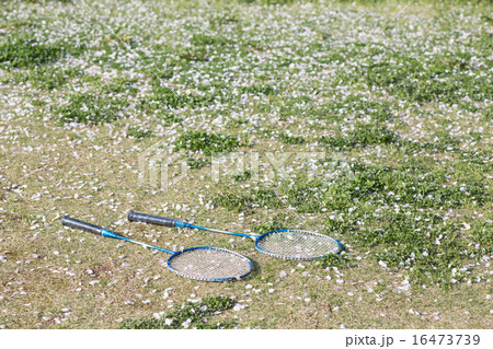 バドミントンのラケット 16473739