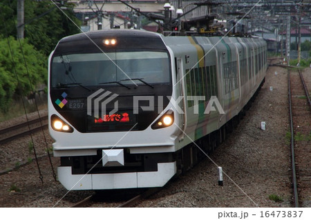 中央線特急あずさ号：E257系 16473837