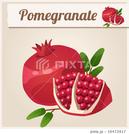 Detailed Icon. Pomegranate. 16473917