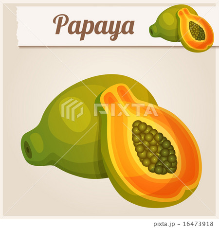 Detailed Icon. Papaya. 16473918