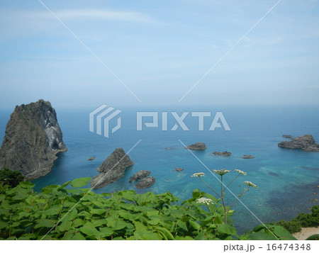 島武意海岸 16474348