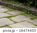 草の生えた石畳 16474403