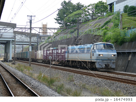 貨物列車 EF66 コンテナ 東戸塚駅 貨物列車 EF66 コンテナ 東戸塚駅 16474993