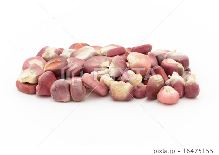 パープル・ホミニー パープル・ホミニー 16475155