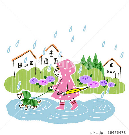 梅雨のお散歩 16476478