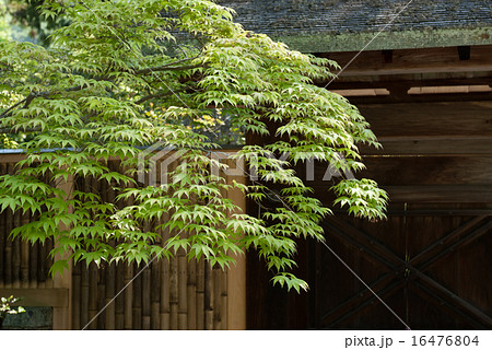 修学院離宮　中離宮 16476804