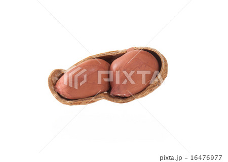 peanut isolated shots on  white background 16476977