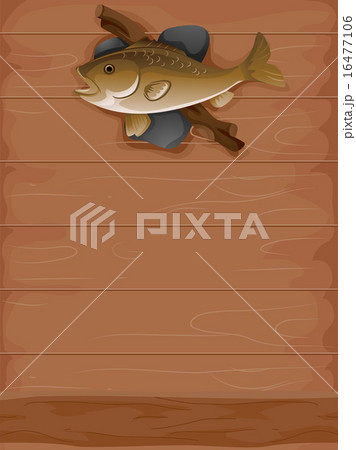 Taxidermy Fish 16477106