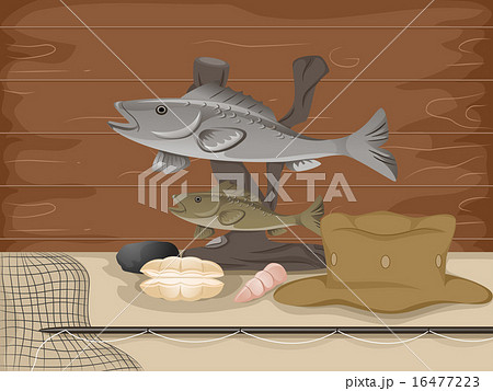 Taxidermy Fishing 16477223