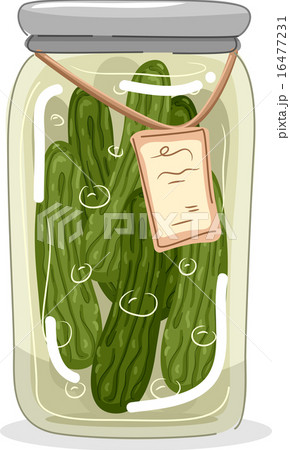 Canned Pickle Jar 16477231