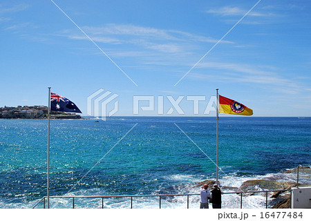 Bondi Wharf 16477484