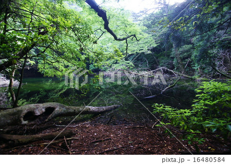 シラヌタの池 16480584