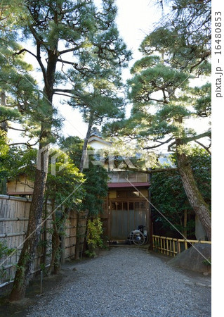 東郷平八郎記念館 16480853