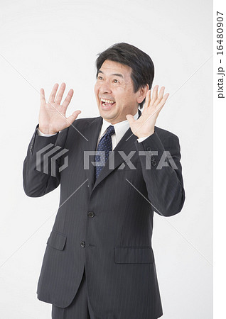 中年のビジネスマン 中年のビジネスマン 16480907