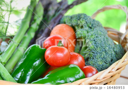 野菜のかご盛り 野菜のかご盛り 16480953