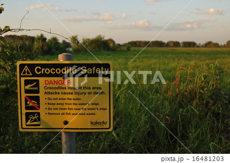 クロコダイルに注意！ 16481203