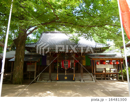 等々力渓谷　等々力不動尊 16481300