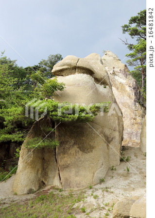 きのこ岩 16481842