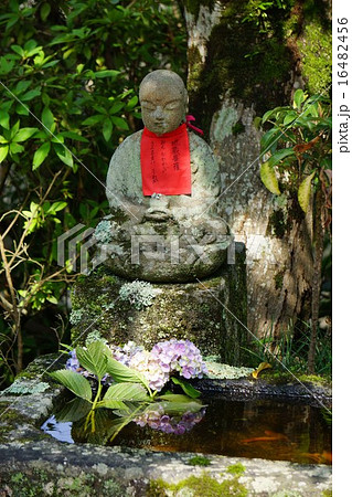 矢田寺の紫陽花とお地蔵さん 矢田寺の紫陽花とお地蔵さん 16482456