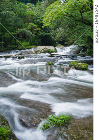 夏の大川原峡 16482542
