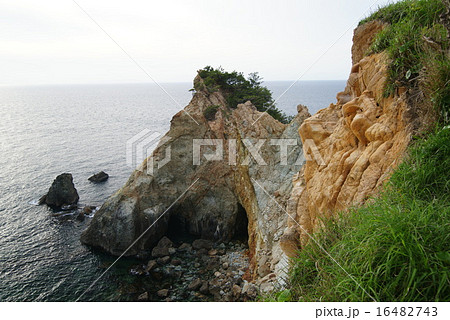 西伊豆　黄金崎の風景 16482743