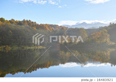 秋の竜神池 16483921