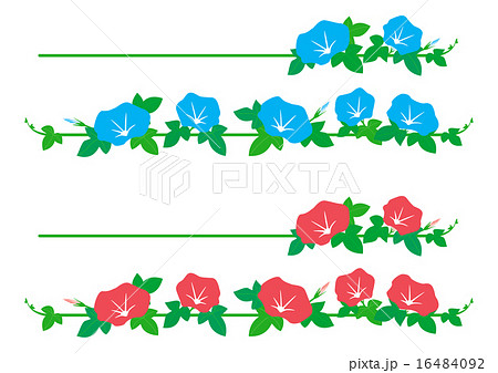 朝顔の横罫線 ピンクと水色 のイラスト素材