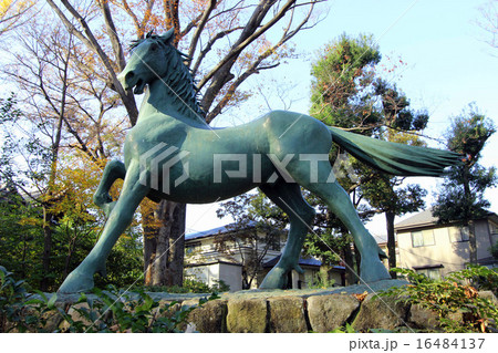 洗足池の名馬池月之像 16484137