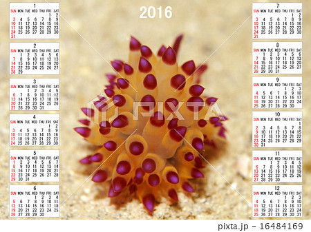 2016年カレンダー 16484169