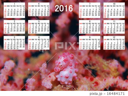 2016年カレンダーのイラスト素材 16484171 Pixta
