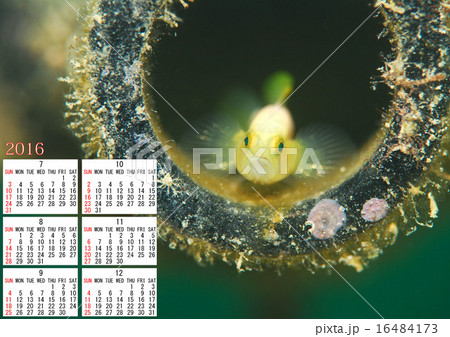 16年カレンダーのイラスト素材