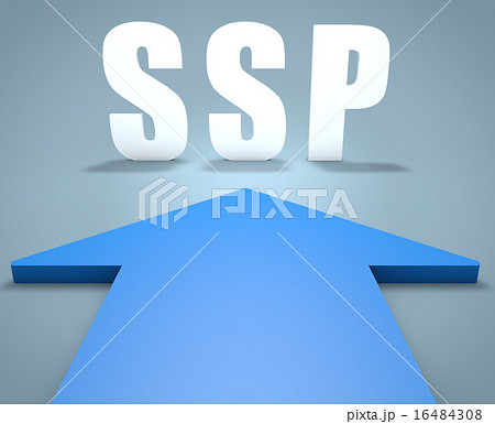 Supply Side Platform 16484308