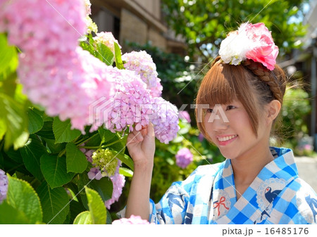 紫陽花 16485176