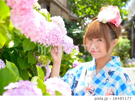 紫陽花 16485177