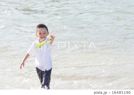 見てみてわかめ　好奇心　発見 16485190