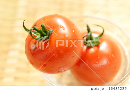 ミニトマト 16485226