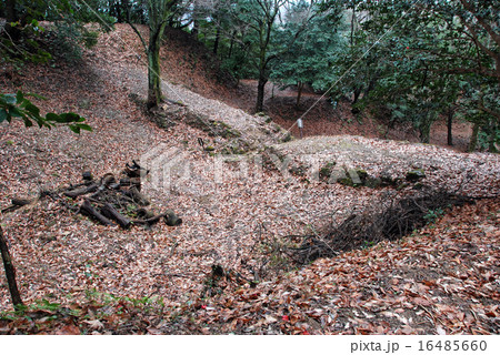 大給城址　水の手曲輪 16485660