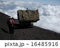ブル道を歩く 16485916