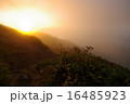 朝もや 16485923