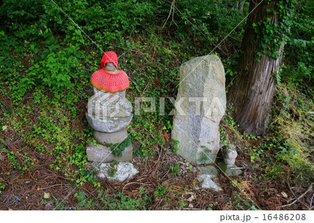 信濃三十三観音霊場　洗淵山　観瀧寺　（第六番札所）　界隈 16486208