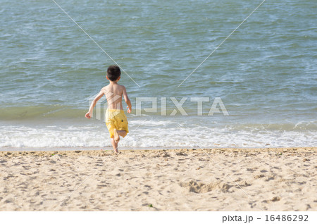 海に飛び出せ！ 16486292