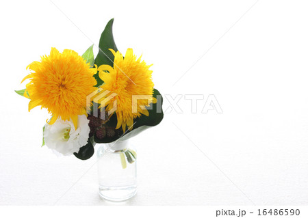 八重のひまわりのミニアレンジ(横 右向き) 八重のひまわりのミニアレンジ(横 右向き) 16486590