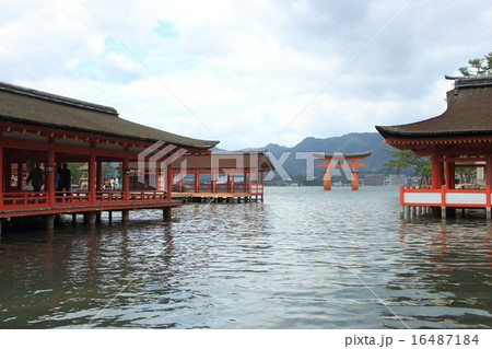 宮島・厳島神社 宮島・厳島神社 16487184