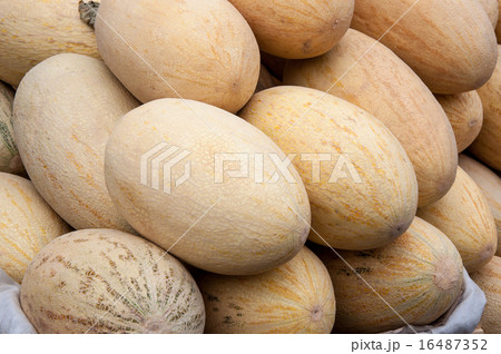 Melon sold at the Bazaar Melon sold at the Bazaar 16487352
