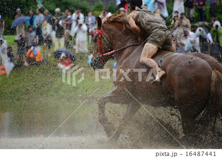 御田祭 御田祭 16487441