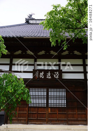 神龍山　禅透院　界隈 16488271