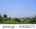 京都 16488273